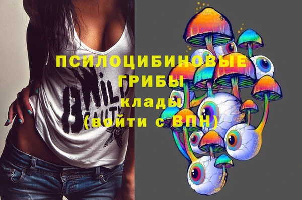 меф Алексеевка