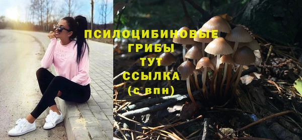 прущая мука Алексин