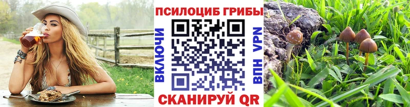гидра как зайти Новоаннинский Псилоцибиновые грибы MAGIC MUSHROOMS